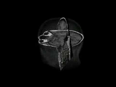 Spectus3D - Slices