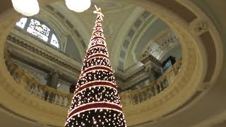 Belfast City Hall Christmas Tree 2022