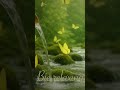 เสียงน้ำไหล เปียโน ธรรมชาติผ่อนคลาย #relaxing #you#waterfall relax background #เพลงช่วยนอน #natural