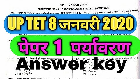 UPTET 2019 ANSWER KEY EVS Paper 1 || 8 जनवरी 2020