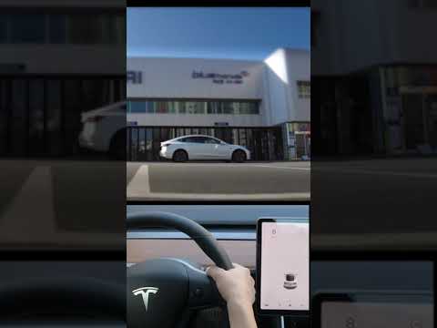 Wlatz <strong>with</strong> <strong>Tesla</strong> - 테슬라와 함께 왈츠를 #짧은영상 #shorts