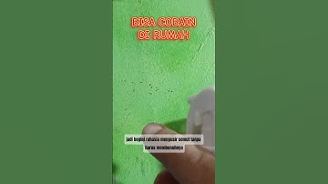 tips rahasia usir semut #idekreatif #tips #tutorial