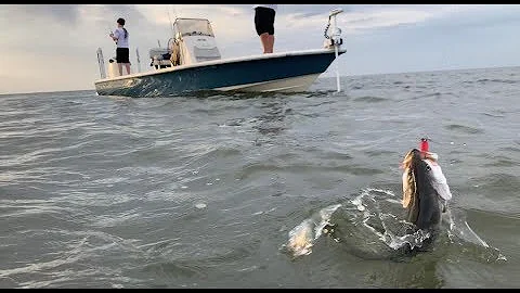 DockSide TV "Slamming Spillway Specks"