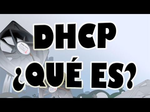 DHCP ¿Qué Es?