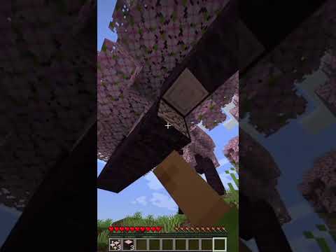 Minecraft Survival series||Minecraft Gameplay #shorts #shortsfeed #minecarft #minecarftsurvival