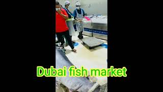 Katte Kamba Dubai Fishmaarket Video Bipul boro. 🐳🦈🐬