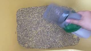 Deep Cleaning the Litter Box 🐱 | Satisfying Cat Litter Scooping ASMR