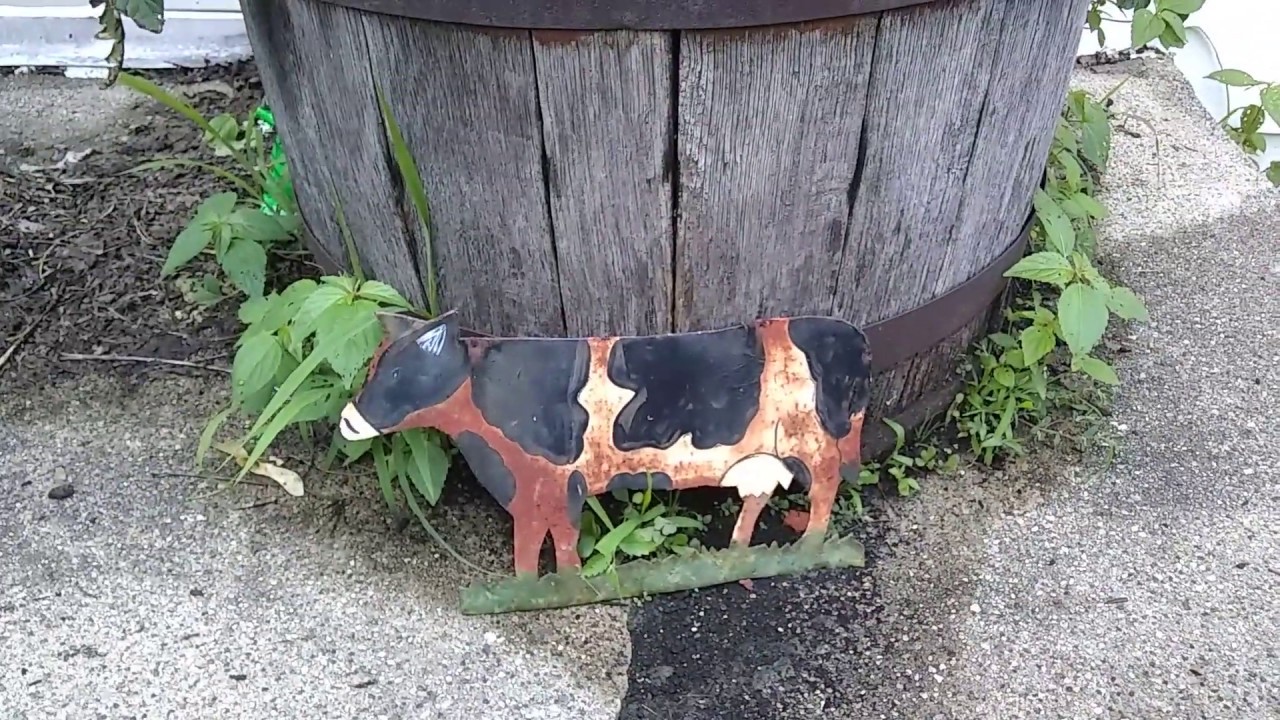 Growing Tomatoes in a Whiskey Barrel Pt. 10, Nervous Nick YouTube