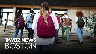 Poll shows Gen Z is shifting feelings about AI