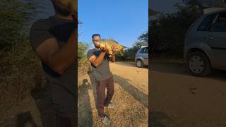 5kg gold fish #fishing #fish #short