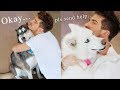 Hugging my dogs for too long (Funny Reaction)