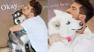 Hugging my dogs for too long (Funny Reaction)