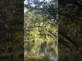 Swimming hole  1 km from 425 shannonvale rd