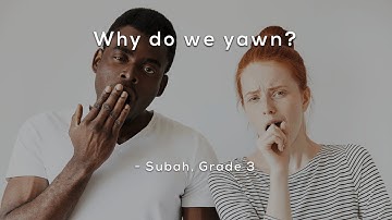 Why do we yawn?
