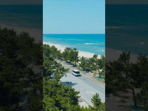 병실의 작은 창 너머 새로운 풍경을 향해 | The Moving Room