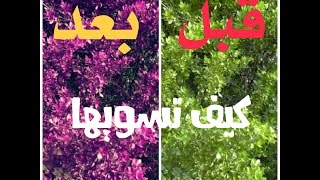 تغيير لون الشجر للأندرويد و الايفون باستخدام برنامج PicesArt #علوش_الموسوي screenshot 5