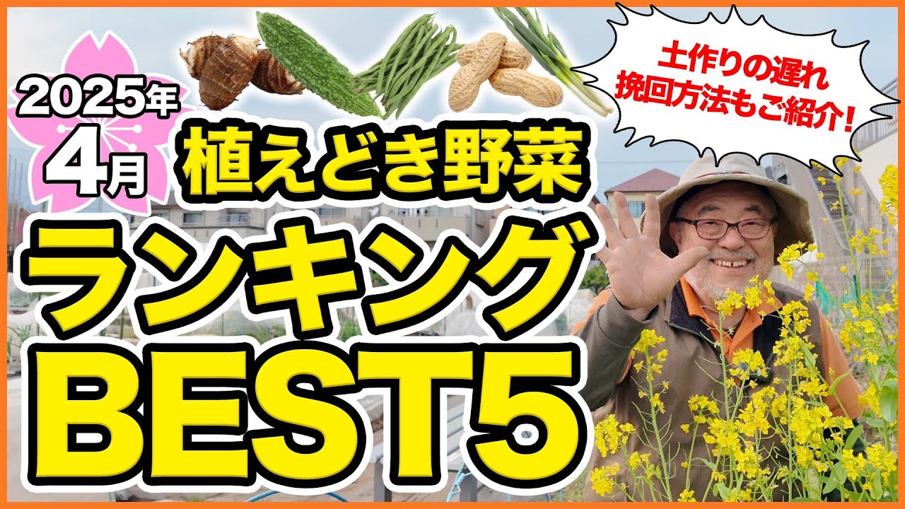 家庭菜園や農園で4月にオススメ！植えどき野菜ランキングBEST5！栽培オススメ品種の育て方を徹底解説！【農園ライフ】