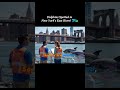 Dolphins Spotted in New York's East River! 🐬🗽 #truestory #unbelievable