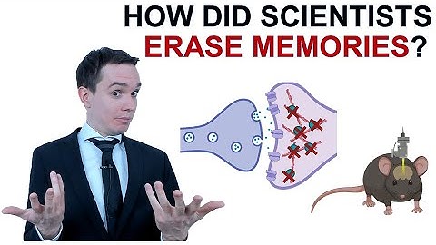 How did scientists erase memories (Eng subs)