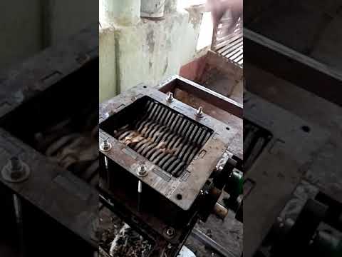    شردير مصر وفرم ورق كرتون