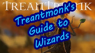 Treantmonk's Guide to Wizards: Introduction
