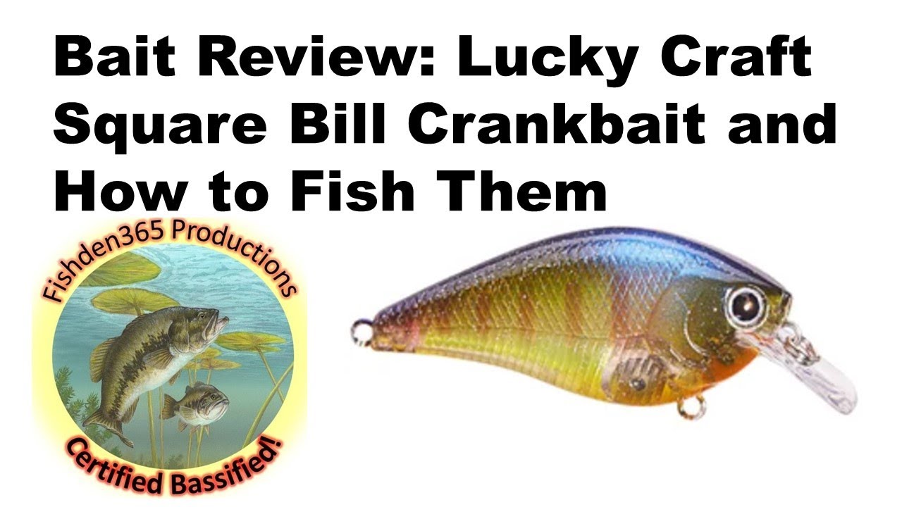Lucky Craft Square Bill Crankbait Review 
