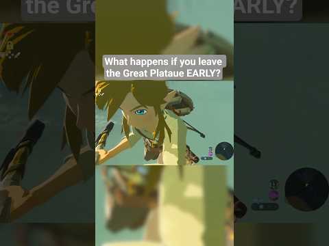 I didn't expect to actually stand down there😯 #zelda #botw #nintendo #tearsofthekingdom #totk