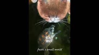 I Am Scared for the Cat! #shorts