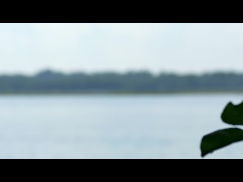 81 Cove AV, Barrington, RI home video tour