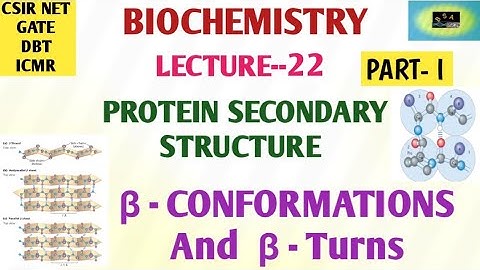 BIOCHEMISTRY- β- SHEET | SECONDARY STRUCTURE OF PROTEIN | CSIR NET | GATE | DBT | ICMR