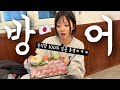 한국 겨울철 음식 방어를 처음 먹어본 일본 동생의 솔직 리뷰ㅋㅋㅋㅋㅋㅋ