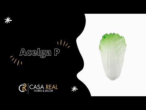 Acelga P Artificial - Verde (10893)