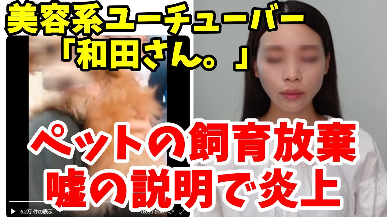 悲報 美容系人気ユーチューバー和田さん ペットを粗末に扱う 釈明動画で嘘を付いて炎上 ドン引きです Youtube