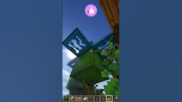 HIDDEN SHULKER BOXES! 💎🤫 Minecraft Hacks! #shorts