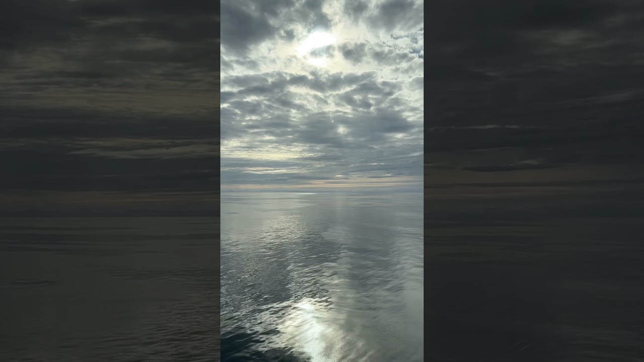 One of the many reasons why Sea Days are my favorite #seadays