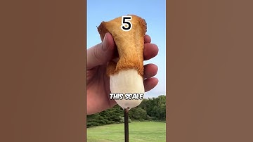 Which is the best roasted marshmallow? 🔥