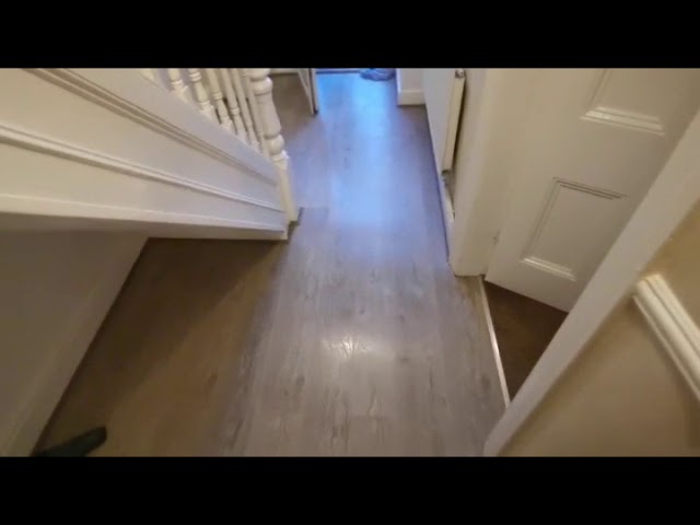 Video 1: