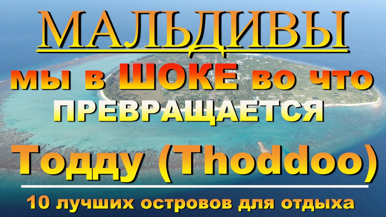 Тодду Thoddoo Мы в ШОКЕ во что превращается We are SHOCKED into what Thoddoo is TURNING into