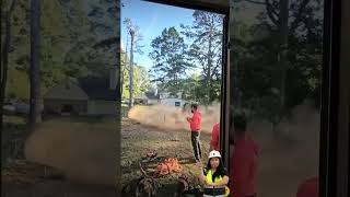 No Risk Assessment? Tree Said Good Luck!