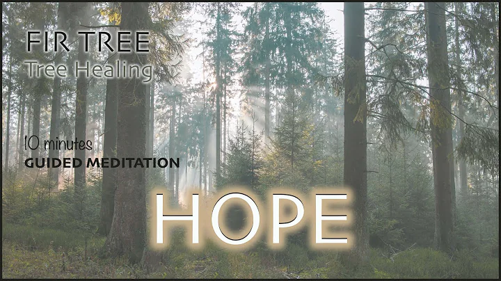 Hope Guided Meditation - Fir Tree Healing with Animal Smbolism
