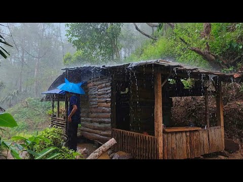 Ahirnya Hujan Turun 💦 Dari Sore Hingga Malam - Aktivitas Sehari-hari Di Hutan 🌲 Membuat Talas Goreng