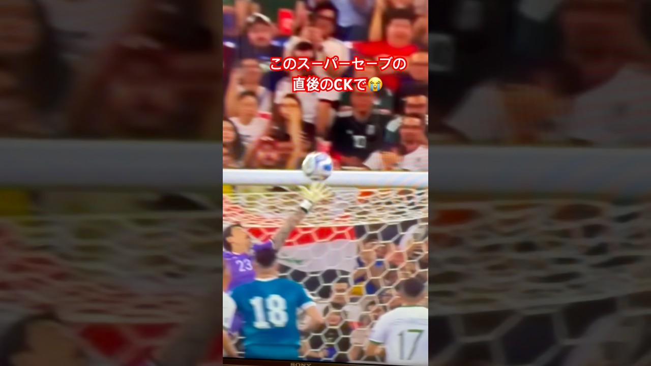 超スーパーセーブ直後のコーナーキックで普通に失点。サッカーて残酷#スーパーセーブ #サッカー珍プレー #珍プレー