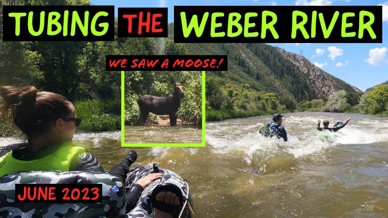 Tubing the er River (Utah). June 2023. We spotted a moose! YouTube