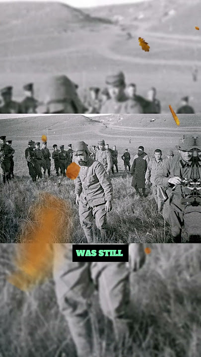 Once wanted to conquer, but now wants to be conquered by Japan!! Success?! #youtubeshorts #history