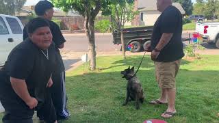 Filipina-Mexican Family Life In America Egg Harvesting From Our Hens And Training Coco.