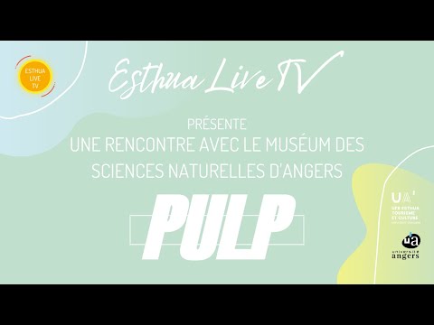 PULP - Interview Léo Tessier - Muséum d'Angers