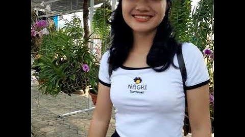 Tết độc lập Than Uyên có gì