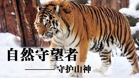 تحميل 荒野行動 守護