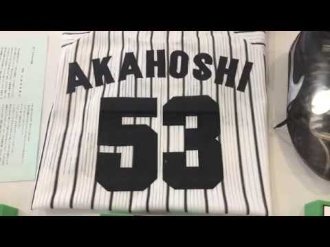 祝 阪神優勝 公式ファンクラブ  受注生産品 53 赤星憲広 パネル 阪神タイガース サインボール ケース付 赤星憲広【53】｜トレファクONLINE