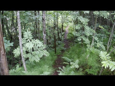 Video: Pyhä paikka - Svetloyar-järvi